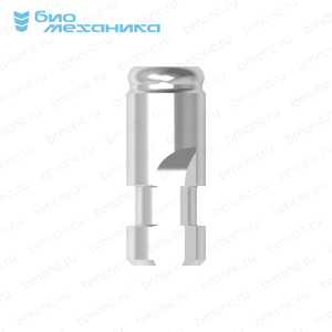 BIORTSO40S