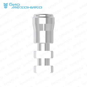 BIORMA137