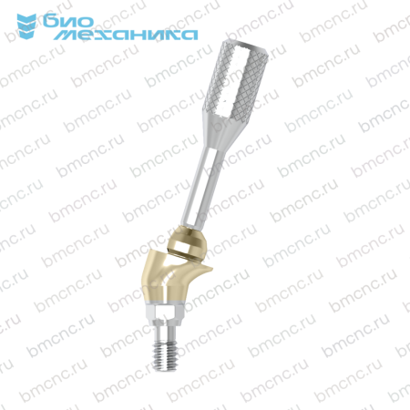 BIOMUD48A1715G-C — копия