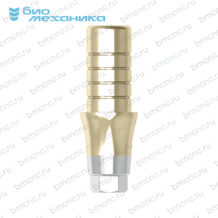 BIOMAR306040-SC