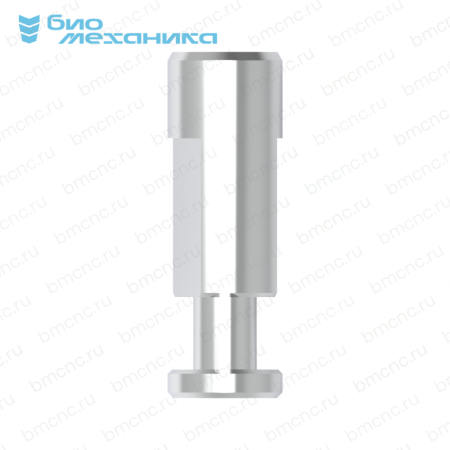 BIORDI237