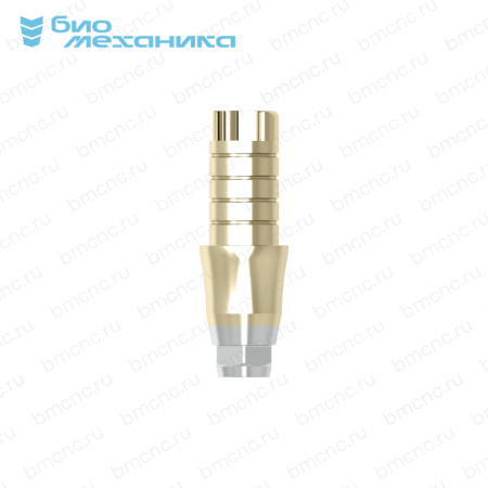 BIOMAA306040-SC