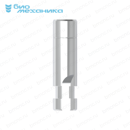 BIOROR140