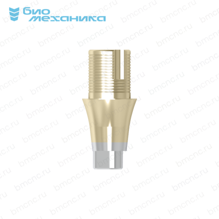 BIOAAF240-SC