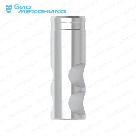 BIORSB141