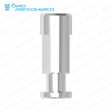BIORDI137