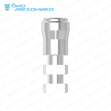 BIORMA137