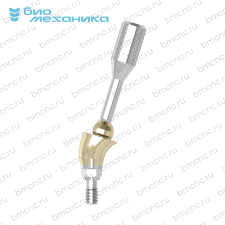 BIOMUD48A1725G-C — копия