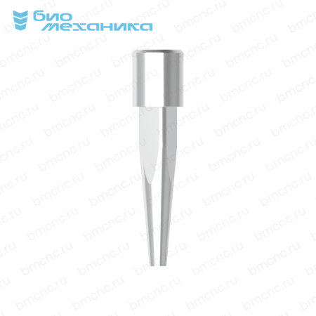 BIOR3DORSB141