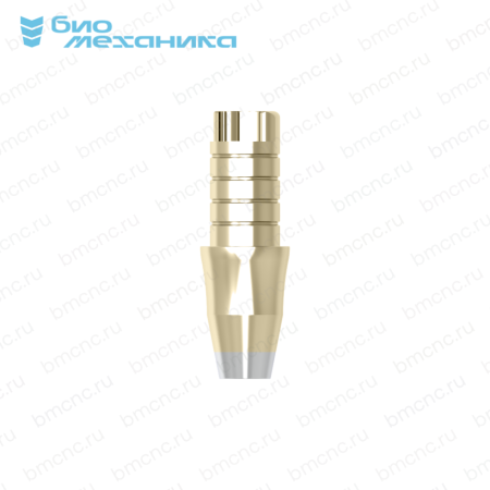 BIOMAA306040-BC