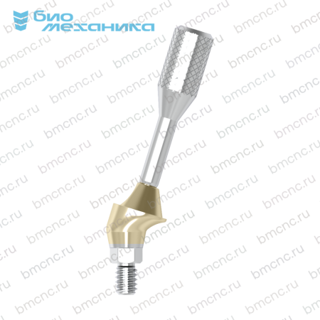 BIOMUOR48A1725-C