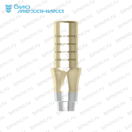 BIOMAR306040-BC