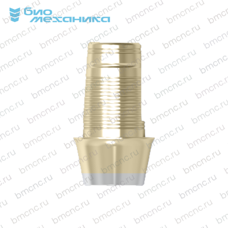 BIOGAE148-BC