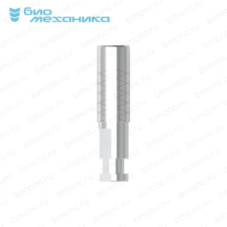 BIORAX140